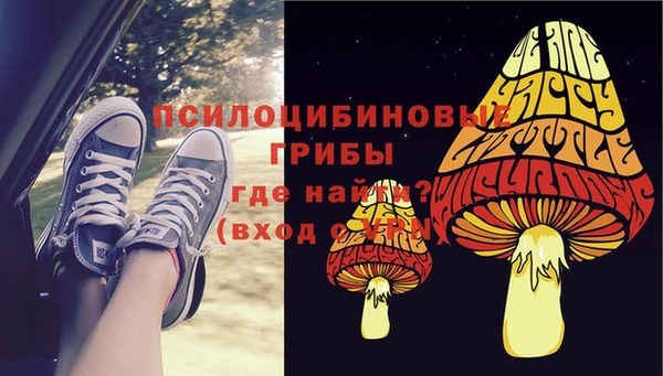 спайс Абаза