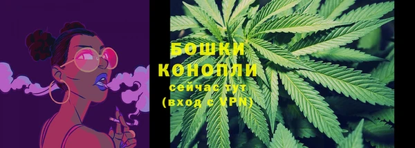 ГАЛЛЮЦИНОГЕННЫЕ ГРИБЫ Осташков