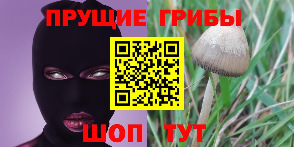 Псилоцибиновые грибы мицелий  Вход с VPN  Советск 