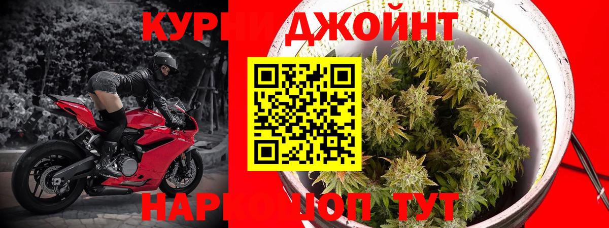 Марихуана Bruce Banner  Каннабис планчик  Советск  Канабис конопля  Вход с VPN  Конопля план 
